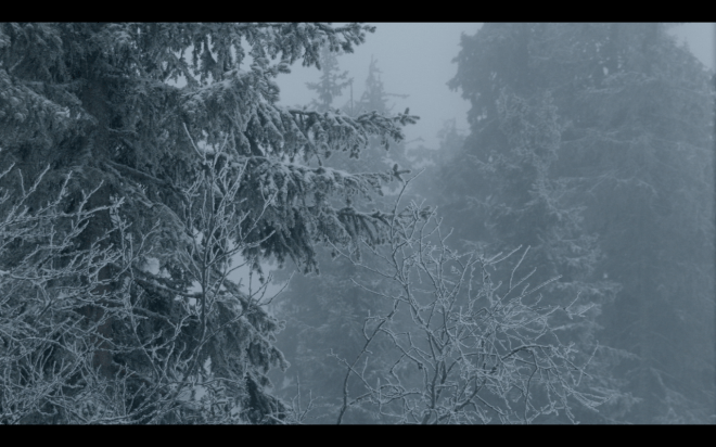 The window and I by Anna Ulrikke Andersen 